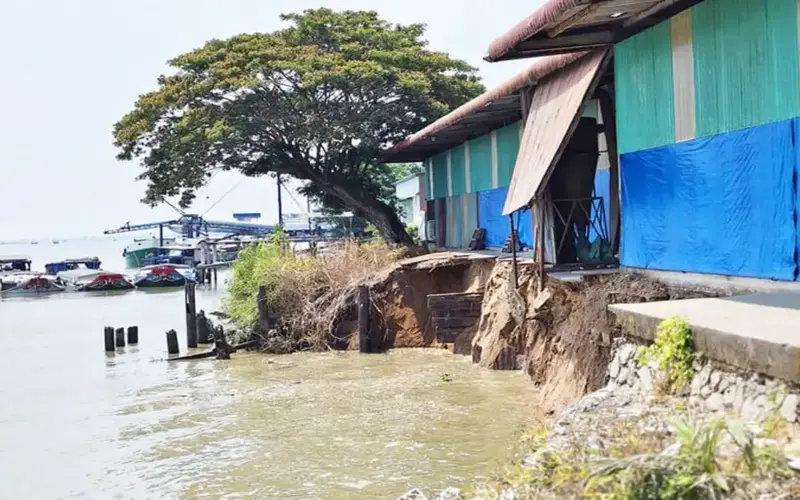 توجد حاجة لاتخاذ تدابير عاجلة لمعالجة الانهيارات الأرضية في بلدية فينه ثانه ترونغ.
